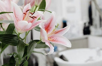 Vivian Brik Salon