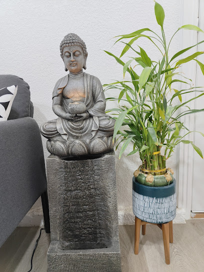 Bay area skin studio