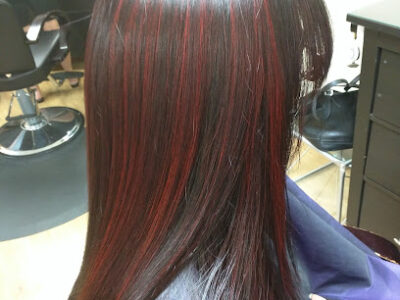 Steiner Salon