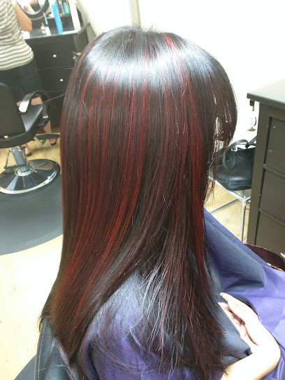 Steiner Salon