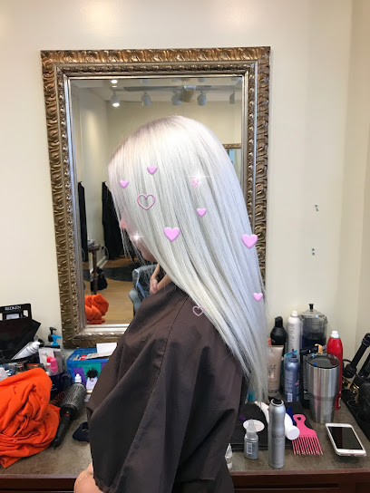 The Northshore Salon (salon 580)