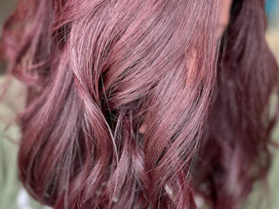 The Hair Zone, LTD