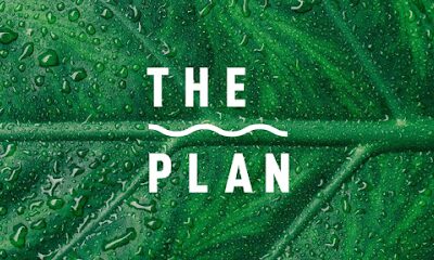The Plan