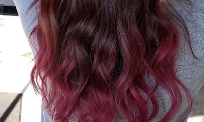 Salon Lisa Purple Tail