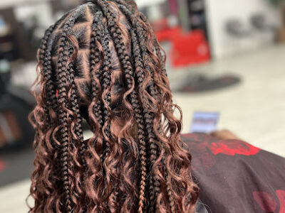 Braids by Julisa