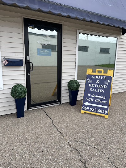 Above and Beyond Salon
