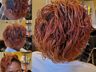 The Salonist
