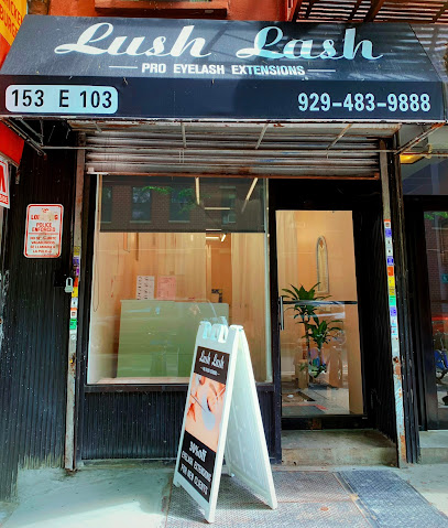 Lush Lash Studio