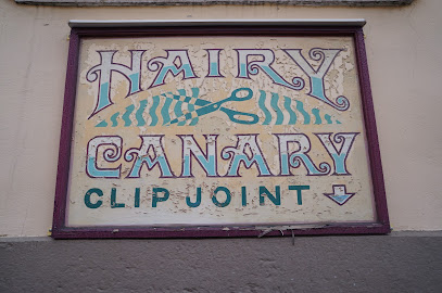 Hairy Canary Clip Joint