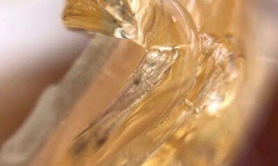 Helianthus Esthetics