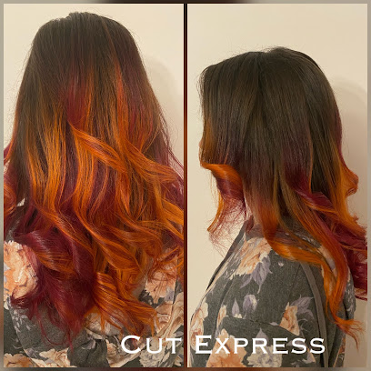 Cut Express Color Bar