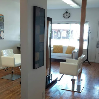 Studio v salon