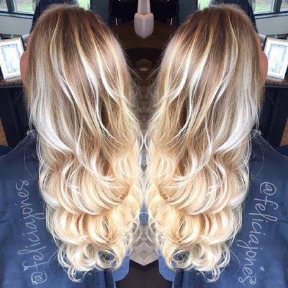 Hair by Felicia Jones at Sola Salon Studios Fairlawn
