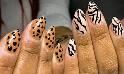 Creations by b