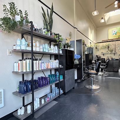 Studio B Hair Design
