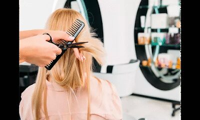 Shear Madness Beauty Bizarre