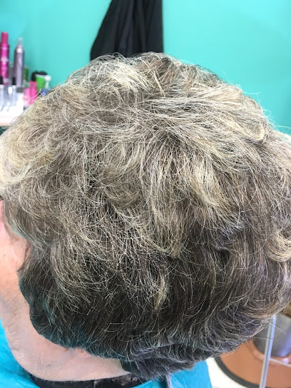 Presenting the Hairdressers