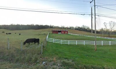 The Beauty Barn