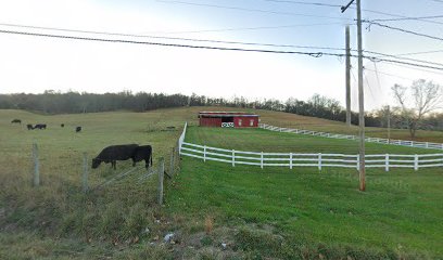 The Beauty Barn
