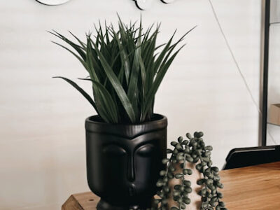 The Beauty Lab – Downtown Riverside Ca