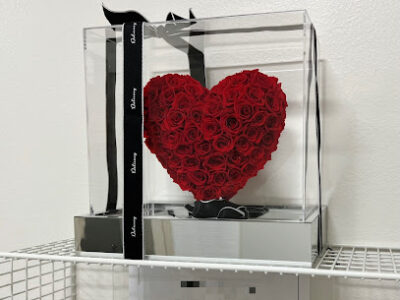 V Love Beauty