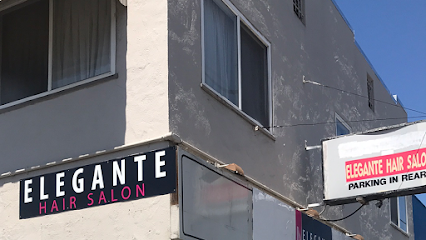 Ana Elegante Hair Salon