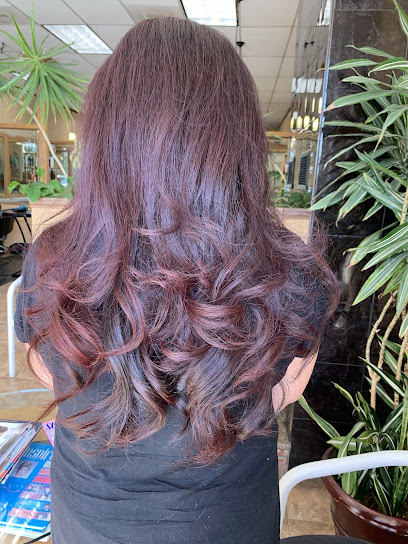 Studio 7 Salon