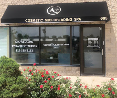 A+ Cosmetic Microblading