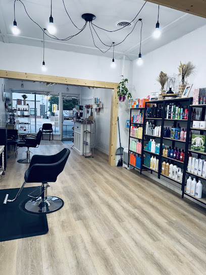 Luxury Cuts & Colors