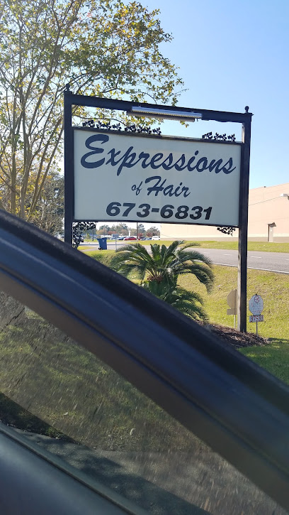 Expressions of Hair