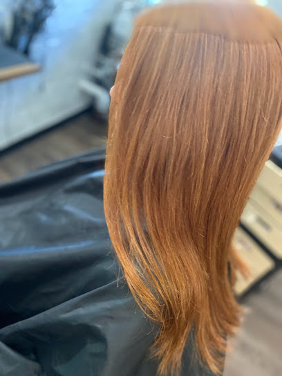 TaraLiz Hair Studio