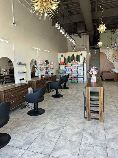 Salon Sidera