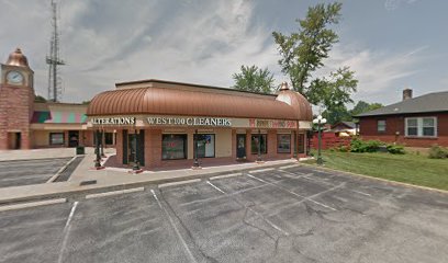 Blonde Flamingo Salon