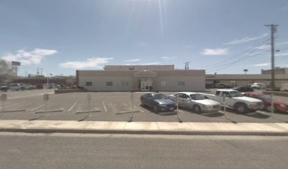 Forever Wild Salon and Spa