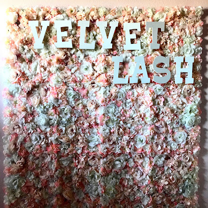 Velvet Lash Lounge