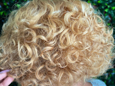 Shear Impressions