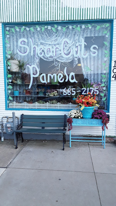 Shear Cuts By Pamela Walton