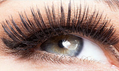Lady Lash Boutique