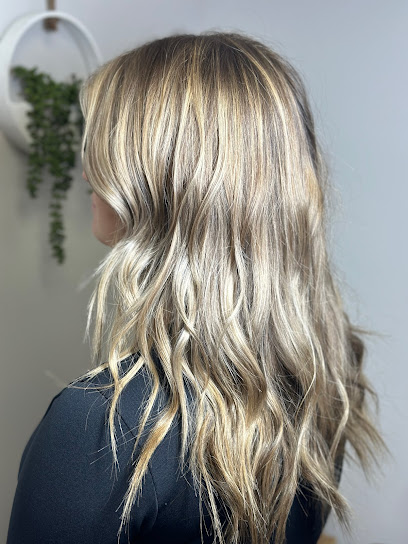 Bloom Modern Beauty