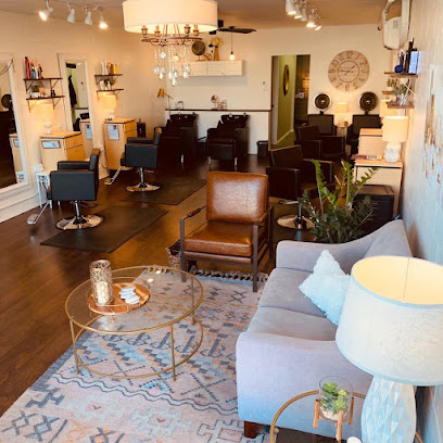 Pilea Salon