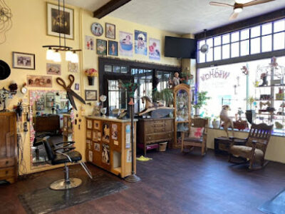 The Wild Hair Salon